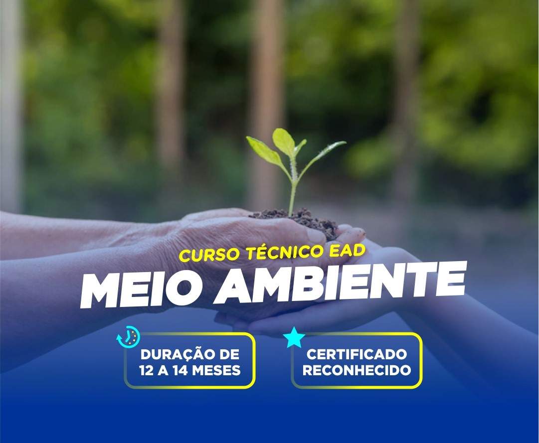 TÉCNICO EM MEIO AMBIENTE (SEI)